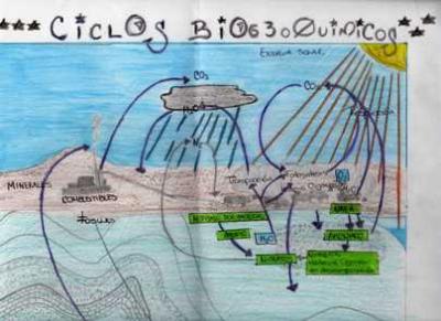 ciclos biogeoquimicos